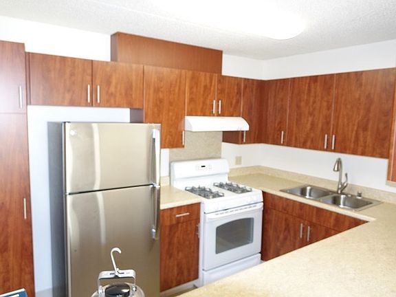 New Kitchen Cabinets and Appliances