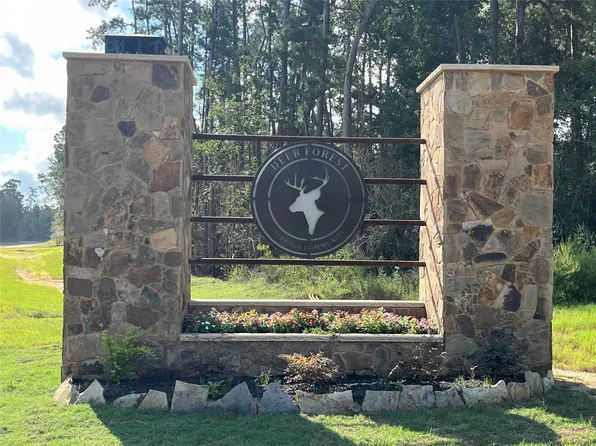 11723 Grand North Rd, Willis, TX 77378