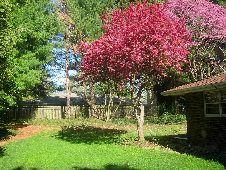 2208 Wyld Dr — Photo 27