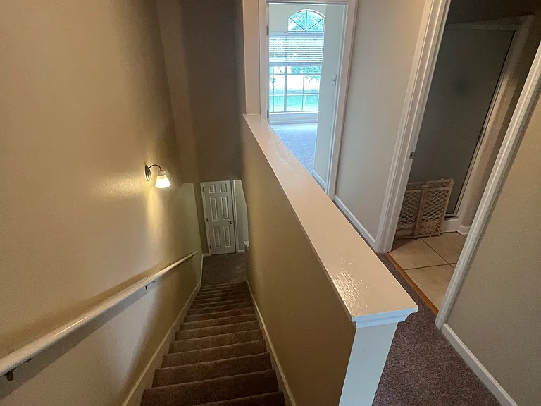 1900 Carrollwood Dr #3 — Photo 23