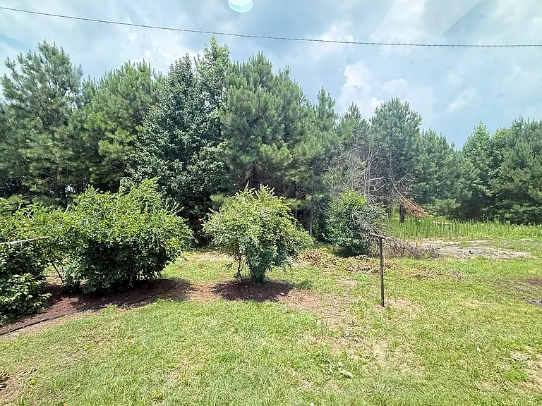 215 Newton Ln — Photo 43