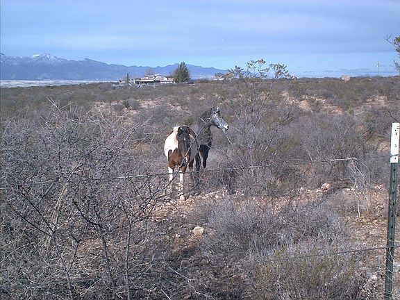 January 2007 from the Road looking West with house in background