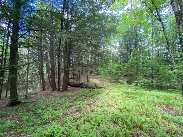 47 East Countryside Road, Waterbury, VT 05676