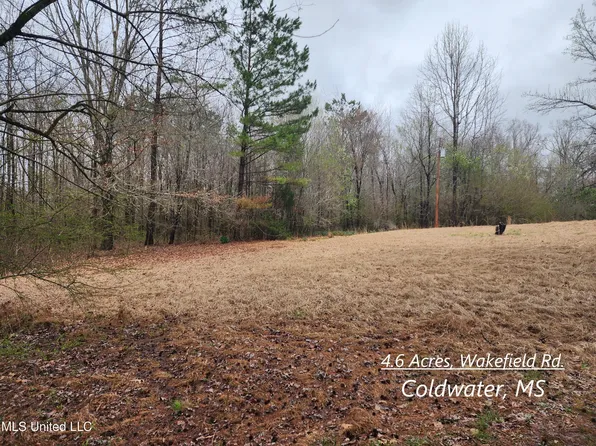 4 Wakefield Rd, Coldwater, MS 38618