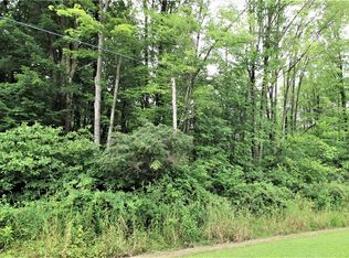 Woodworth Rd, Andover, OH 44003