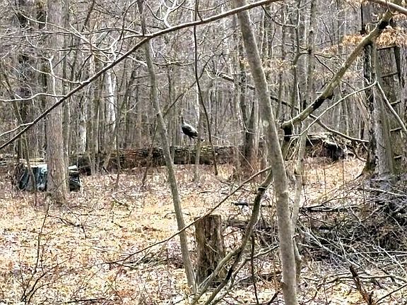 2nd image of W Prairie Rd