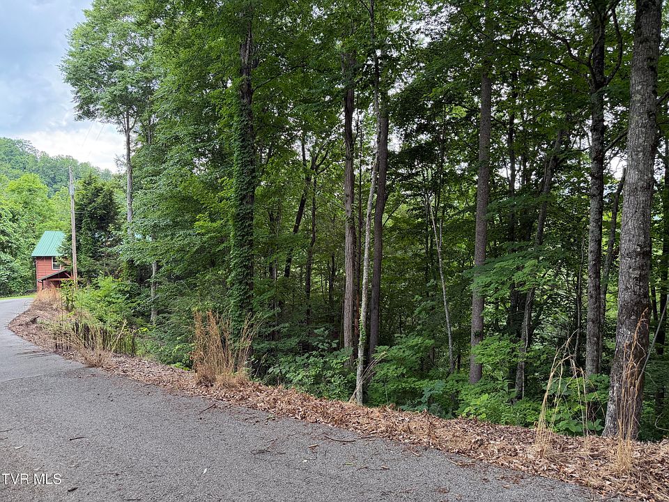1st image of High Top Loop