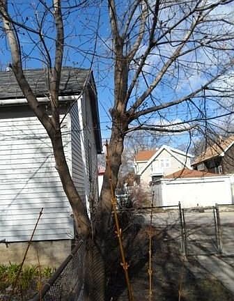 5th image of 3263 N 35th St