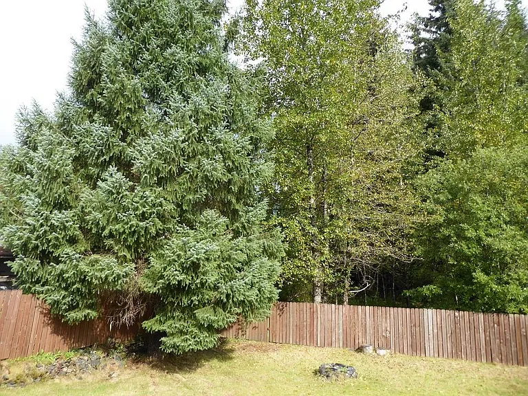 9236 Emily Way — Photo 26