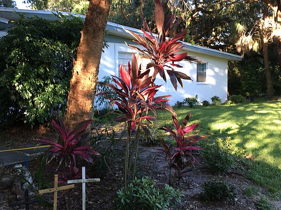  Driveway View/Front Lawn 