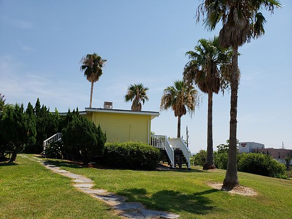 Manicured lawn with tall palm trees.