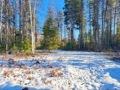 311 E Joyner Dr, Cusick, WA, 99119