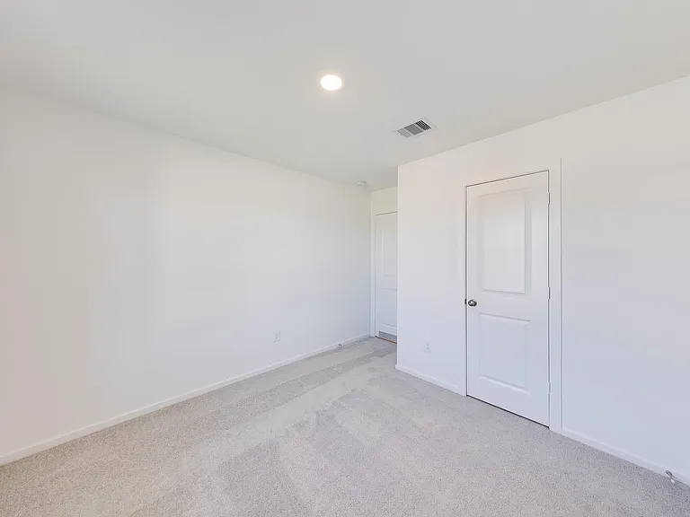 29043 Pearl Barley Way — Photo 16