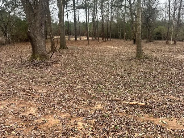 0 County Road 6636, Banks, AL 36005