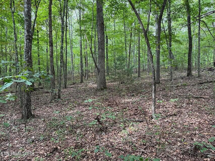 1st image of Wildcat Rd