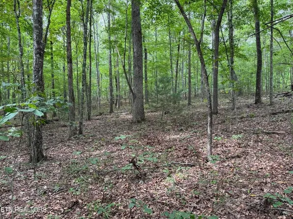 Wildcat Rd, Jamestown, TN 38556