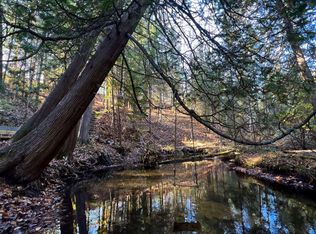 6009 Hastings Rd, Indian River, MI 49749