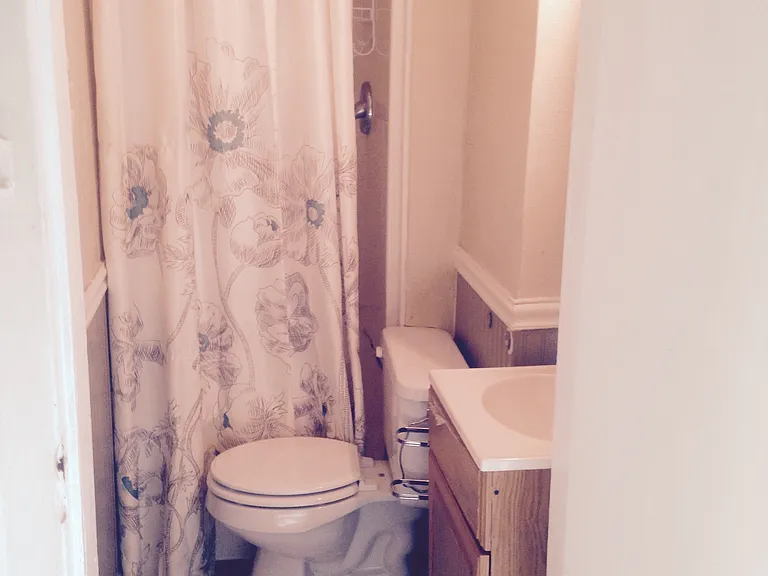 1411 Park St #3 — Photo 3