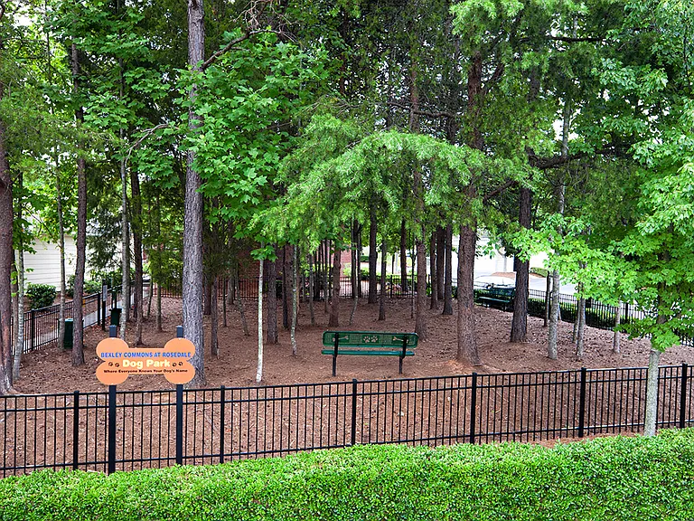 Dog Park