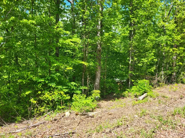 0A Red Ash Rd, Sugar Tree, TN 38380