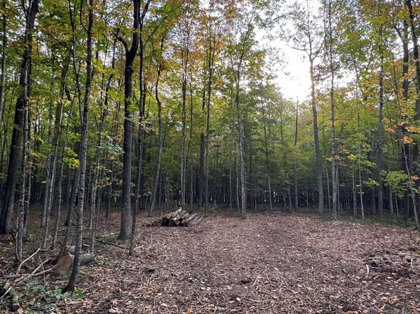 Lot 9 COUNTY ROAD V, Marshfield, WI 54449