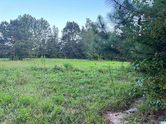3rd image of County Road 516 #1
