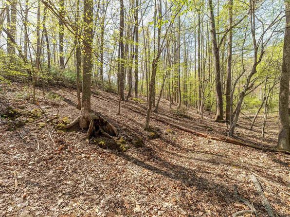 817 Brownings Cv, Shipman, VA 22971