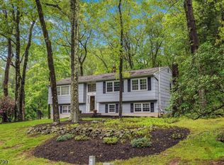 38 Nestlingwood Dr, Long Valley, NJ 07853