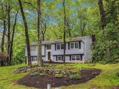 38 Nestlingwood Dr, Long Valley, NJ, 07853