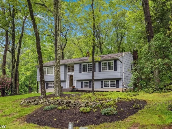 38 Nestlingwood Dr, Washington Twp., NJ 07853