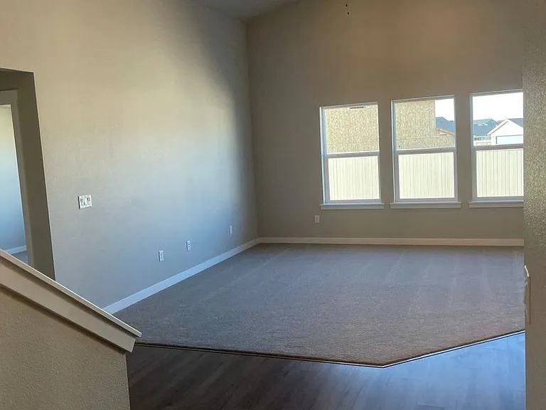 10371 Longtail Dr — Photo 28