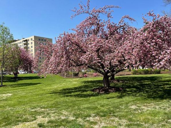 6631 Wakefield Dr APT 301