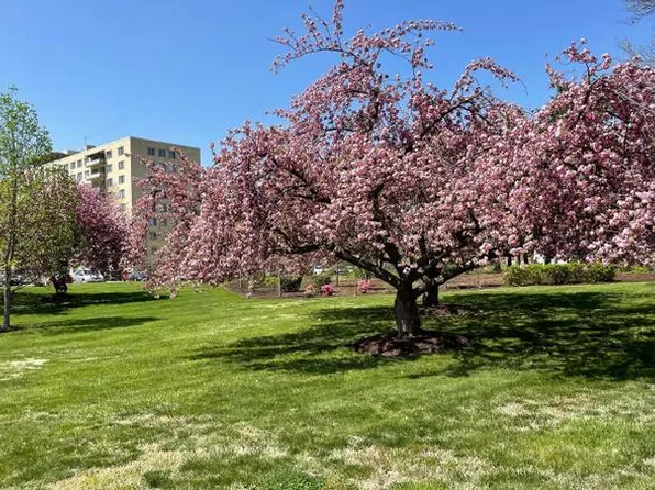 6631 Wakefield Dr APT 301, Alexandria, VA 22307