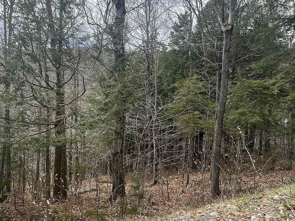 Hawk Resort 249 E Ash Rd Plymouth VT Zillow