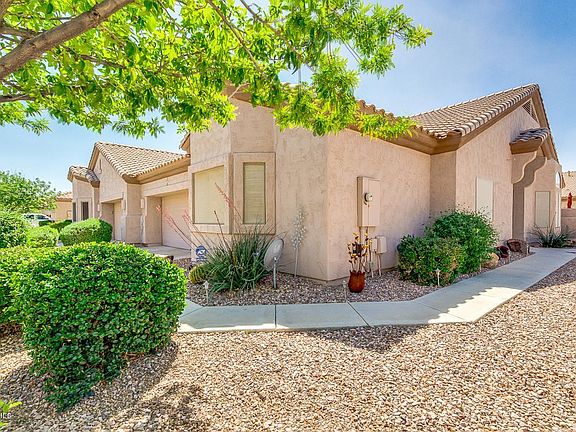 02-Desert Willow