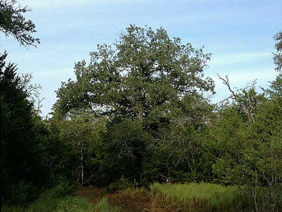 1st image of 7.273 Sneed