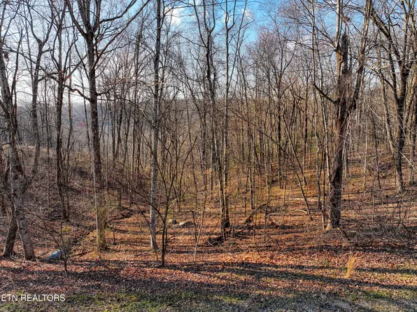 616 Cumberland Cove Rd, Monterey, TN 38574