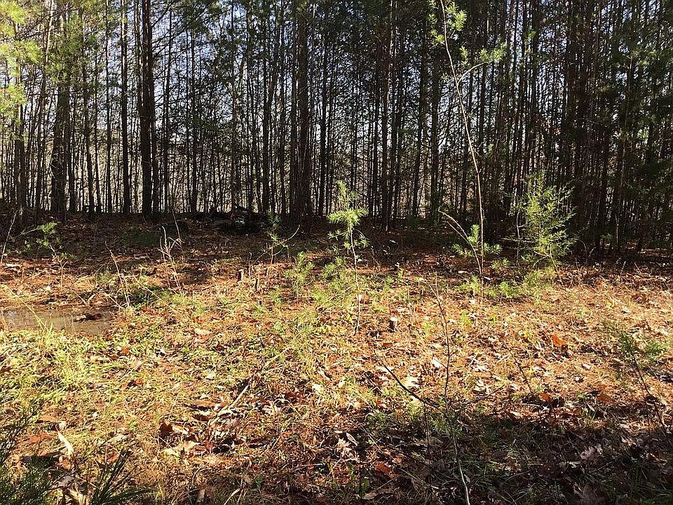 2nd image of Bluff Mtn Rd