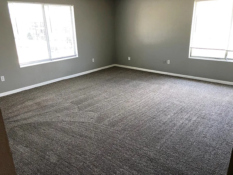 Large Living Room