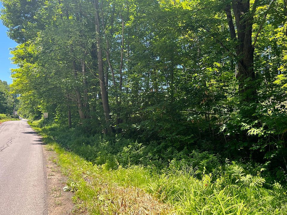 0 Wileytown Rd, Fly Creek, NY 13337 MLS 135291 Zillow