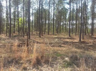 Xx Bogue Chitto Rd, Smithdale, MS 39664