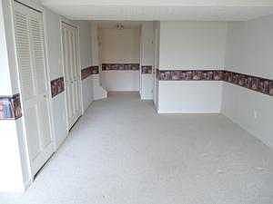 LOWER LEVEL FAMILY ROOM