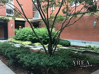 Rented by Area New York