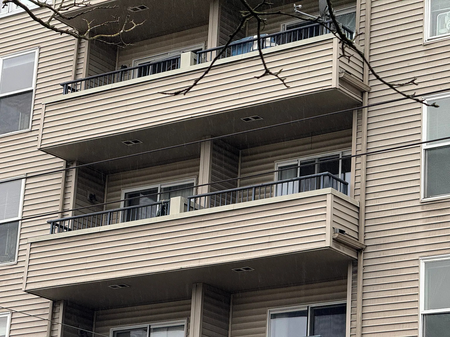 1 bed, 535 sqft, $1,600 — Photo 3