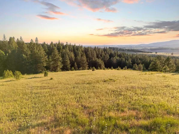 Nna S Mica Vista Ln, Mica, WA 99023