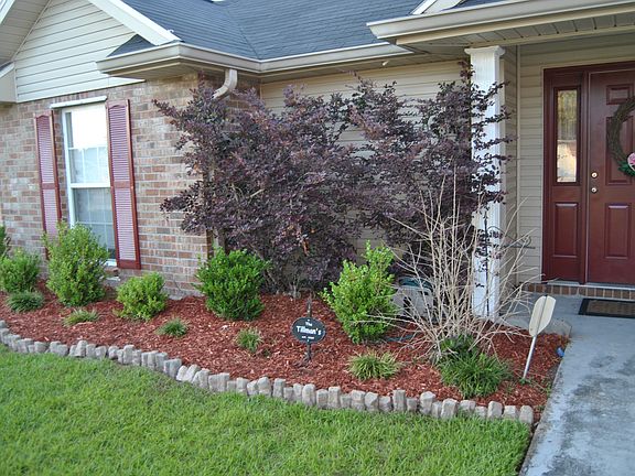 2nd image of 341 Baptiste Cir