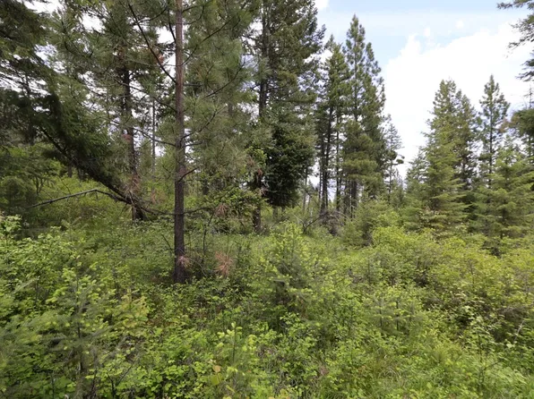 Nhn Tract 1b E Fork Combest Creek Rd, Plains, MT 59859