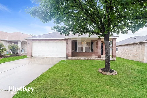 172 Texas Mulberry Photo 1