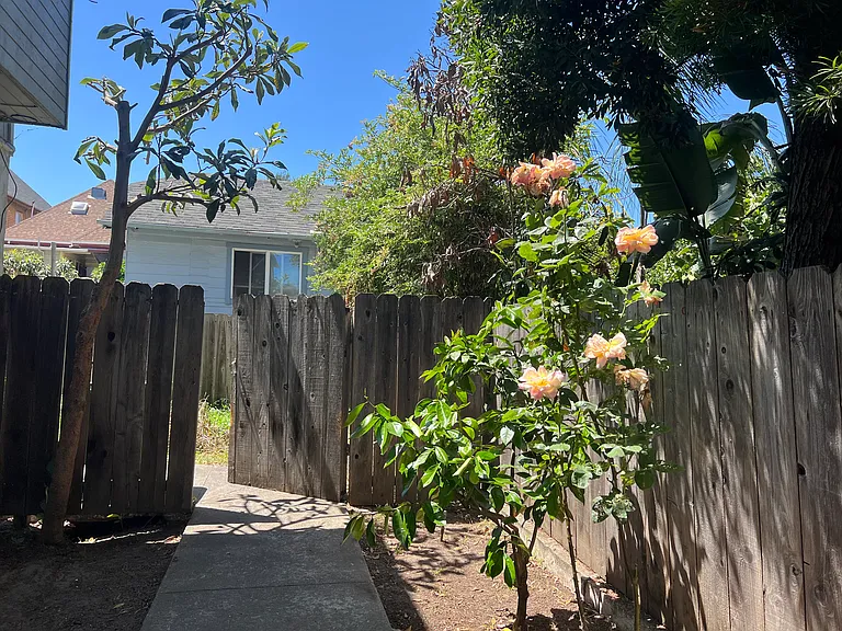 Back Yard access