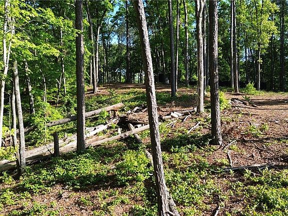 3rd image of 183 Moody Meadows Trl